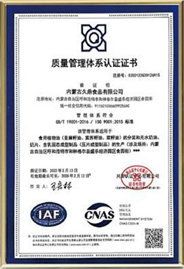 ISO9001国际质量管理体系认证